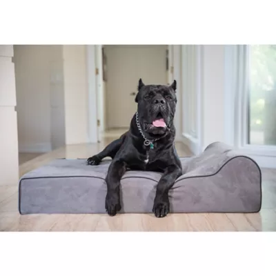 Product Bully Beds Orthopedic, Washable & Waterproof Big Dog Bed