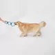 Product Joyhound Game On Triple Rings Rope Dog Toy