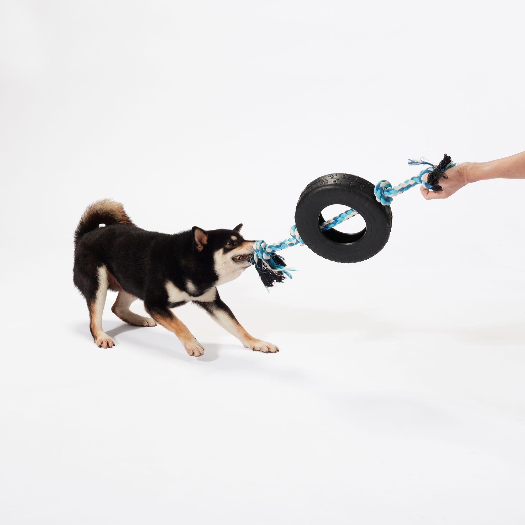 Joyhound Game On Knotted Rope with Rubber Tire Dog Toy | The Market Place