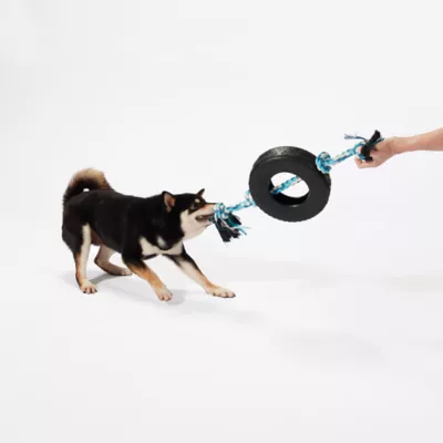 Product Joyhound Game On Knotted Rope with Rubber Tire Dog Toy