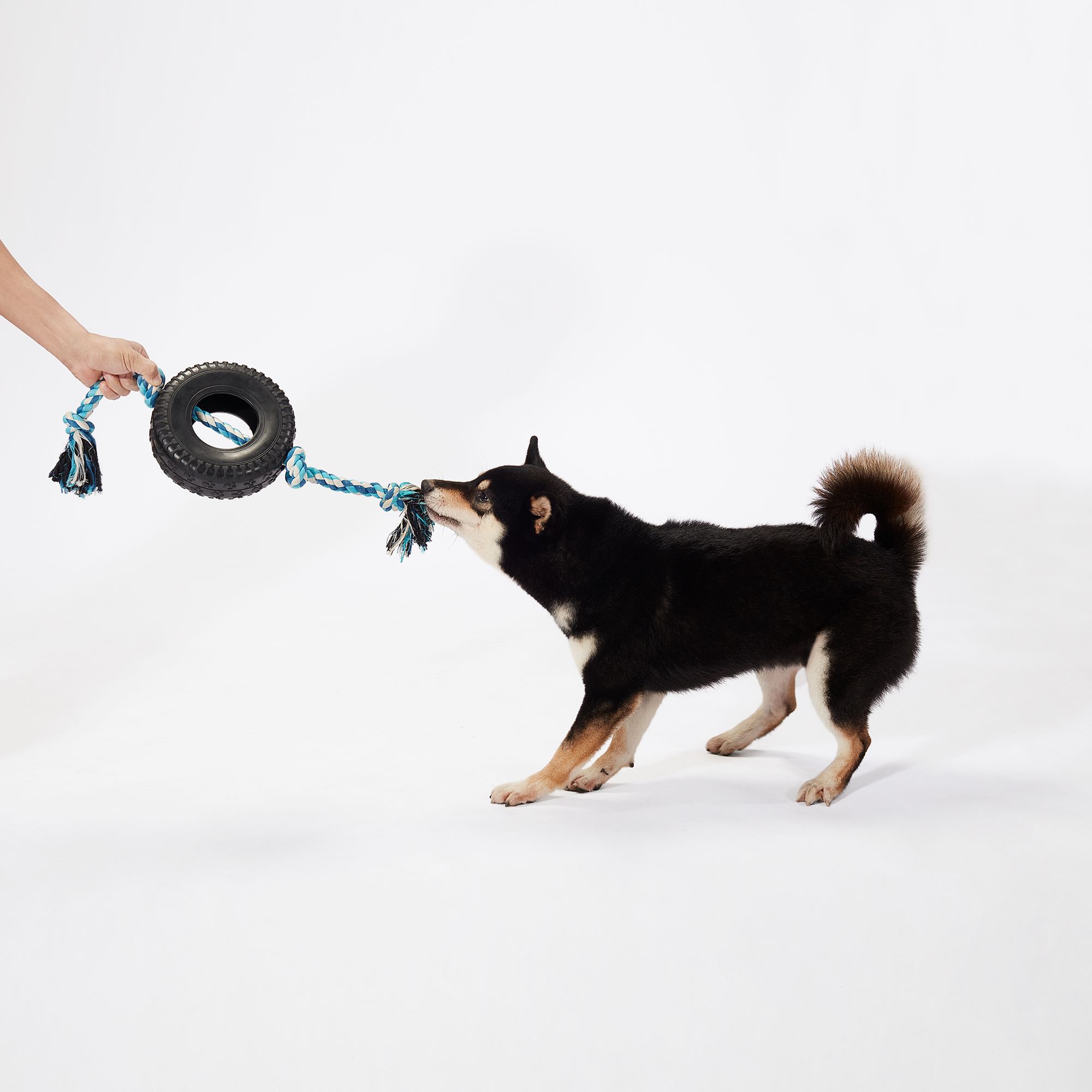 Joyhound Game On Knotted Rope with Rubber Tire Dog Toy | The Market Place