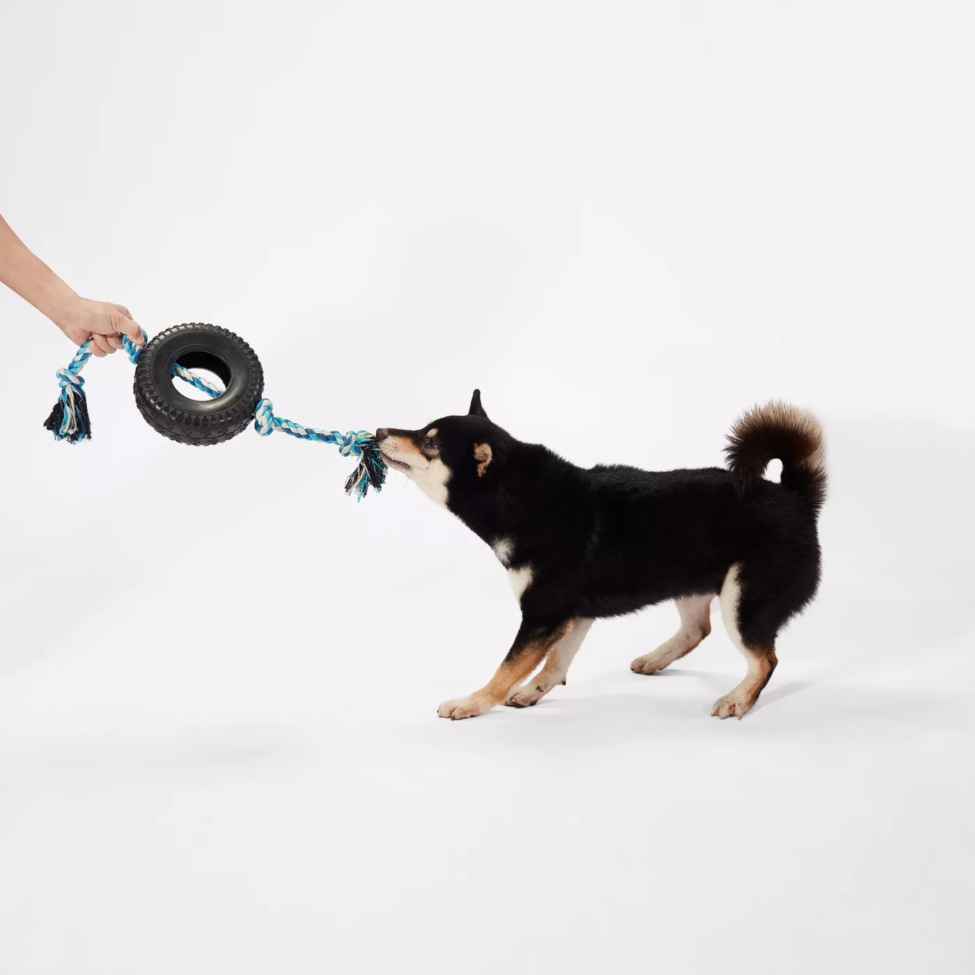 Joyhound Game On Knotted Rope with Rubber Tire Dog Toy