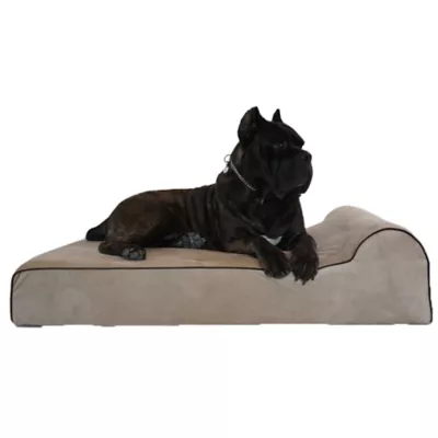 Product Bully Beds Orthopedic, Washable & Waterproof Big Dog Bed