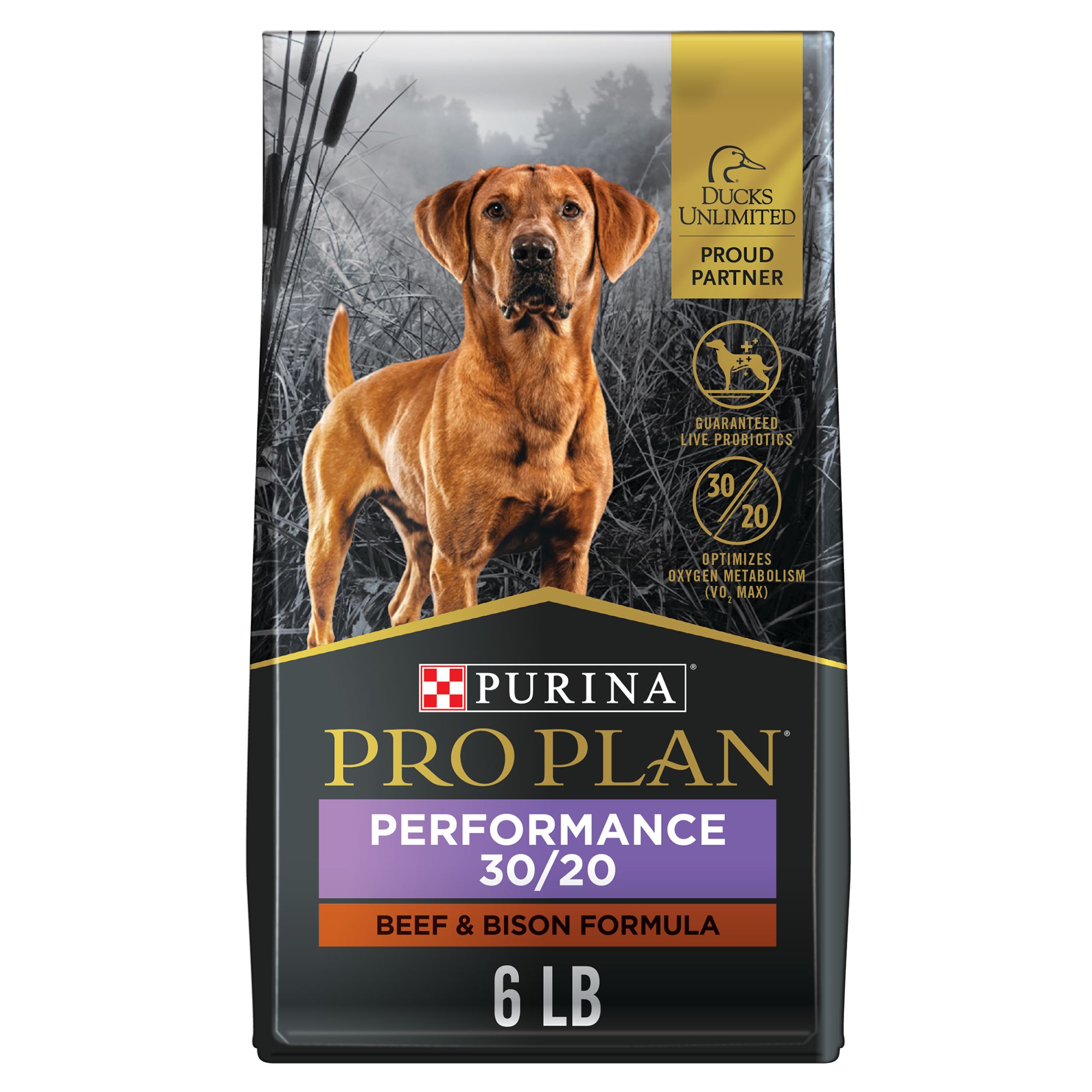 Petsmart purina beyond outlet dog food