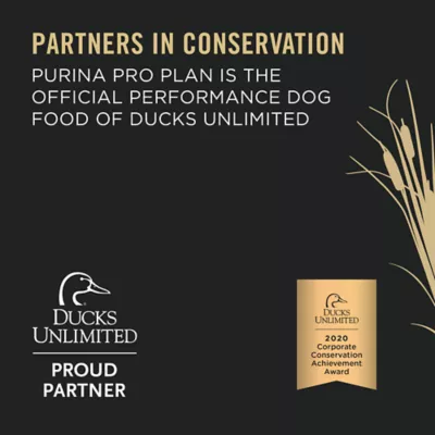 Product Purina Pro Plan Sport Performance 30/20 All Life Stages Dry Dog Food - Beef & Bison
