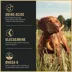 Purina Pro Plan Sport Performance 30/20 All Life Stages Dry Dog Food - Beef & Bison image thumbnail 3