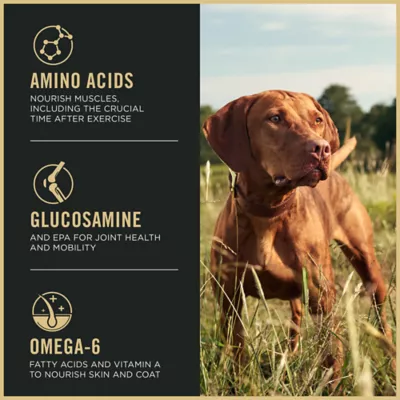 Product Purina Pro Plan Sport Performance 30/20 All Life Stage Dry Dog Food - Turkey, Duck & Quail
