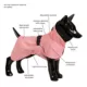 Product PAIKKA Fully Reflective Dog Raincoat