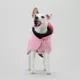 Product PAIKKA Fully Reflective Dog Raincoat