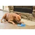 Pet Zone Boredom Busters™ Duo Slow Feeder Licking Mat image thumbnail 2