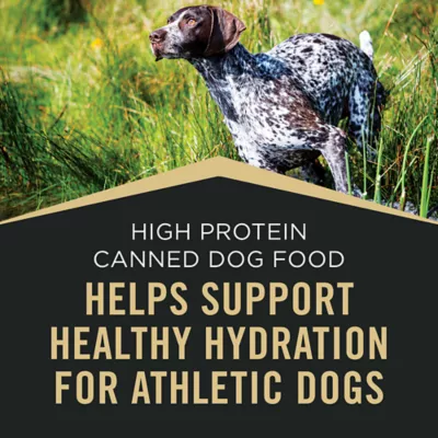 Product Purina Pro Plan Sport High Protein Adult Wet Dog Food - Turkey, Lamb & Venison, 13 oz