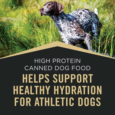Product Purina Pro Plan Sport High Protein Adult Wet Dog Food - Salmon & Cod, 13 oz