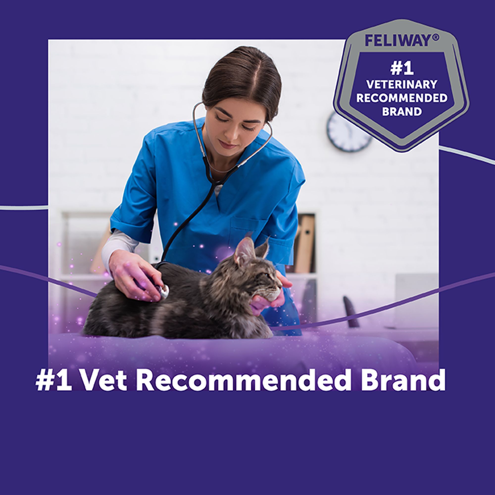 Feliway® Cat Optimum Enhanced Calming Diffuser Refill Canister, 48mL - thumbnail 8