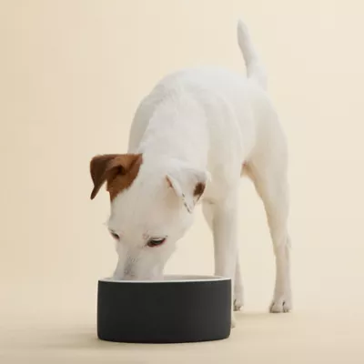 Product PAIKKA Naturally Cooling Ceramic Slow Feeder Dog & Cat Bowl