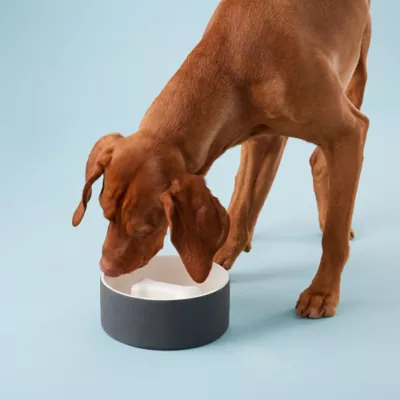 Product PAIKKA Naturally Cooling Ceramic Slow Feeder Dog & Cat Bowl