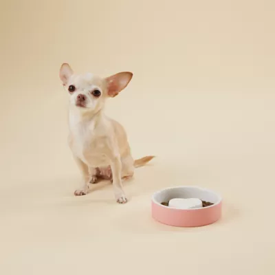 Product PAIKKA Naturally Cooling Ceramic Slow Feeder Dog & Cat Bowl