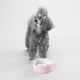 Product PAIKKA Naturally Cooling Ceramic Slow Feeder Dog & Cat Bowl