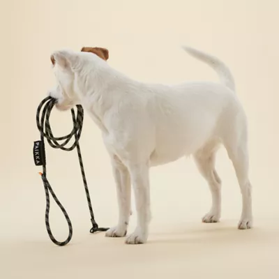 Product PAIKKA Visibility Reflective Rope Dog Leash, 6-ft long