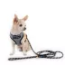 PAIKKA Visibility Reflective Rope Dog Leash, 6-ft long image thumbnail 4