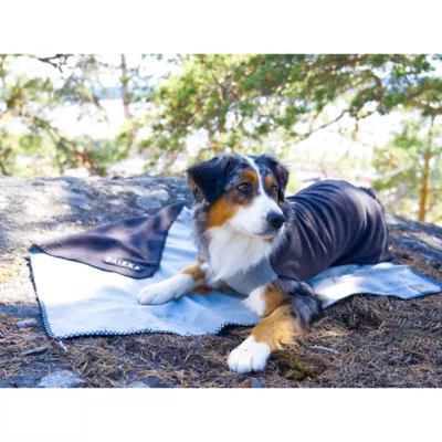 Product PAIKKA Far-Infrared Recovery Dog Blanket