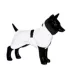 PAIKKA Fully Reflective Dog Raincoat image thumbnail 2
