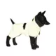 Product PAIKKA Fully Reflective Dog Raincoat