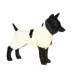 PAIKKA Fully Reflective Dog Raincoat image thumbnail 2