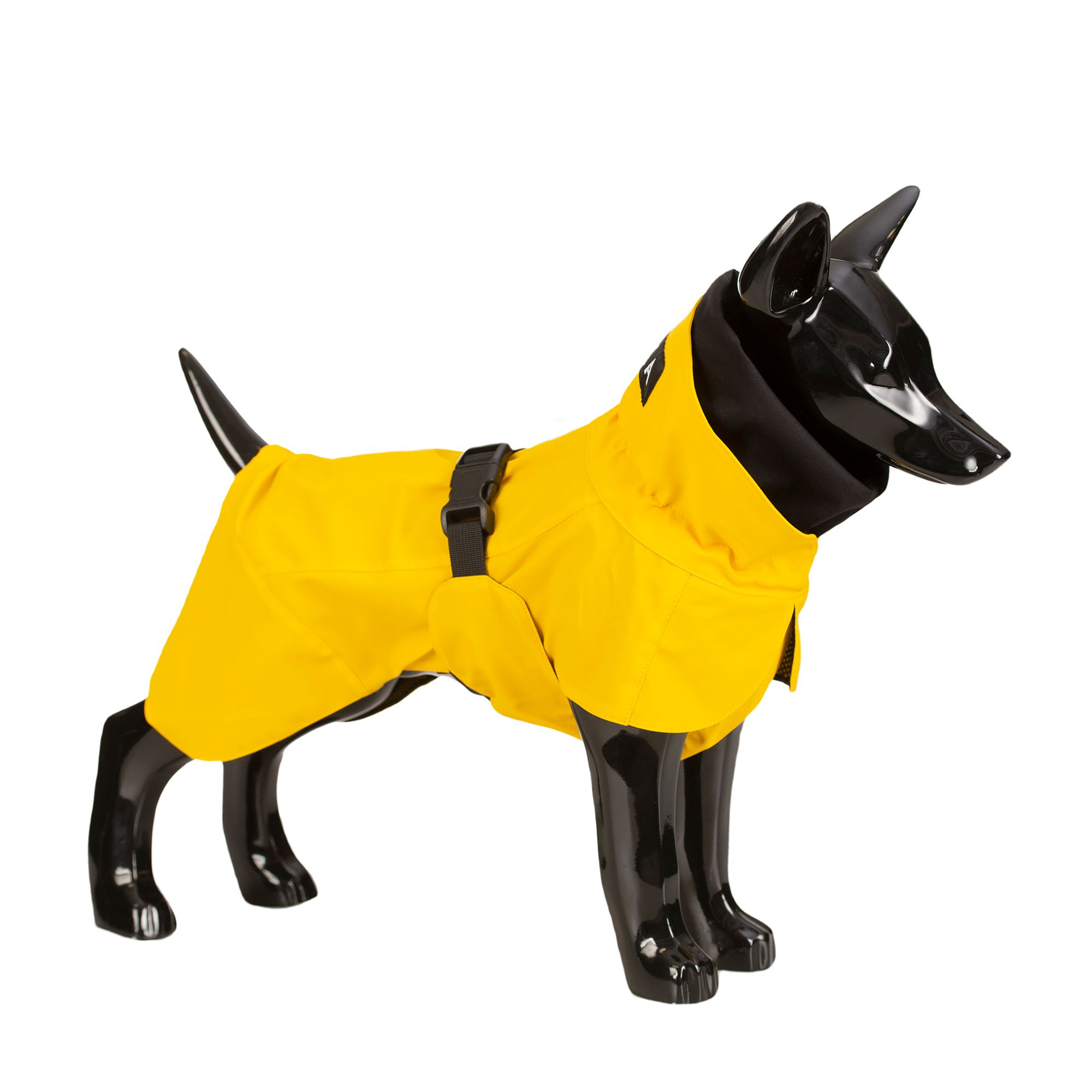 Dog rain 2025 poncho petsmart