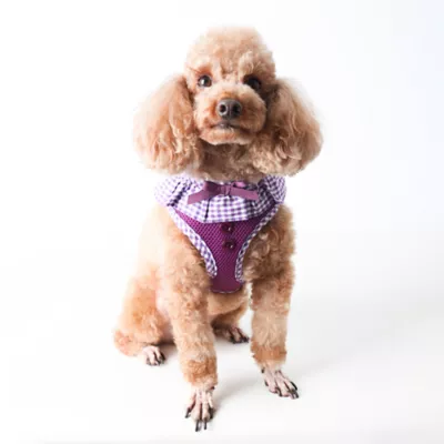 Product Puppia® Vivien Ruffle Dog Harness