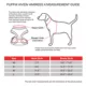 Product Puppia® Vivien Ruffle Dog Harness