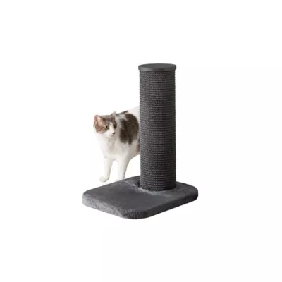 Product Two By Two 24-in City Cat Deluxe European Cat Scratching Post, Grey