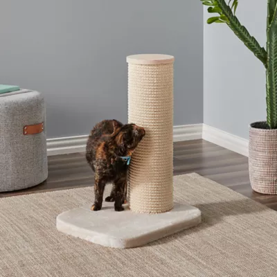 Product Two By Two 24-in City Cat Deluxe European Cat Scratching Post, Beige