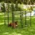 Two By Two 48-in Haven Expandable Dog Kennel image thumbnail 4