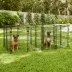 Two By Two 48-in Haven Expandable Dog Kennel image thumbnail 5