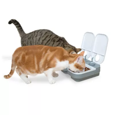 Cat Mate C200 2 Meal Automatic Pet Feeder