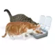 Product Cat Mate C200 2-Bowl with Timer Automatic Dog & Cat Feeder