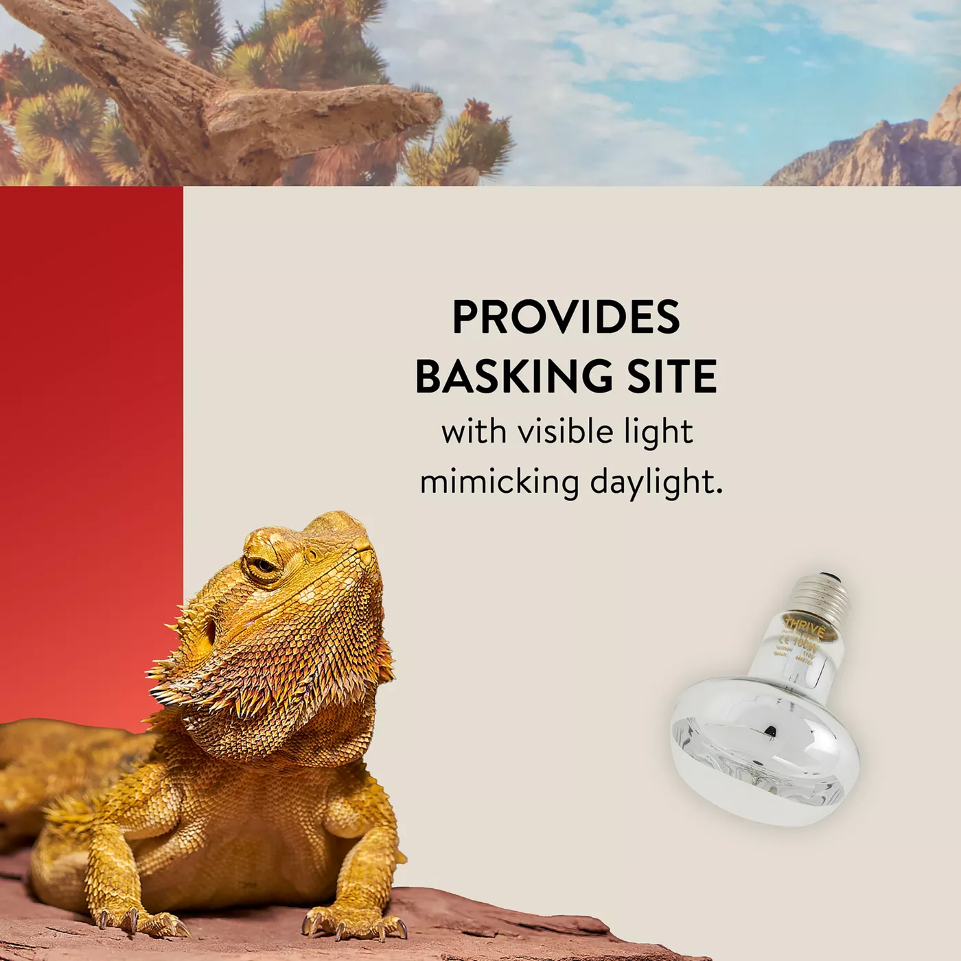 Best basking bulb best sale