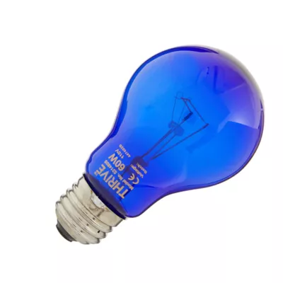Product Thrive Reptile Daytime Blue Heat Bulb