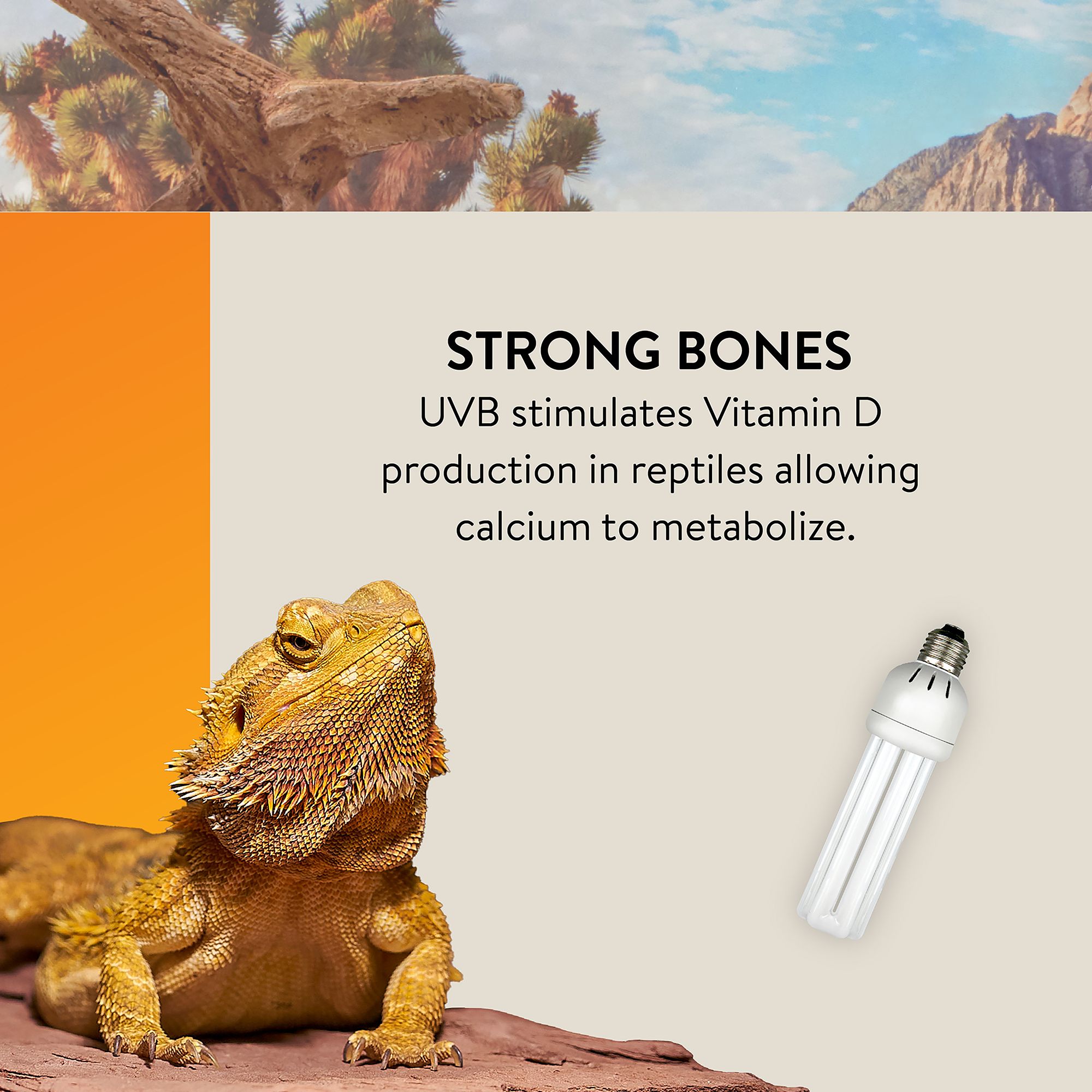 Thrive Desert 10.0 UVB Bulb - Reptile UVB Lighting - 13-23W - thumbnail 4