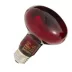 Thrive Nocturnal Infrared Spot Bulb image thumbnail 1