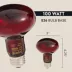 Thrive Nocturnal Infrared Spot Bulb image thumbnail 2