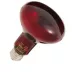 Thrive Nocturnal Infrared Spot Bulb image thumbnail 1