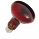 Product Thrive Nocturnal Infrared Spot Bulb