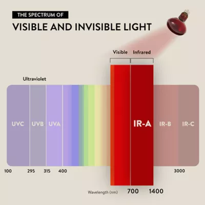 Product Thrive Nocturnal Infrared Spot Bulb