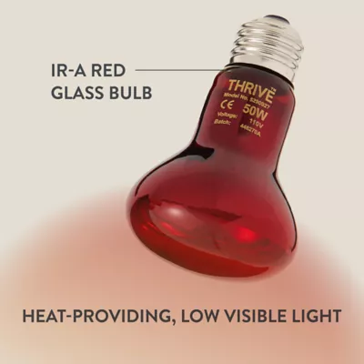 Product Thrive Nocturnal Infrared Spot Bulb