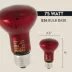 Thrive Nocturnal Infrared Spot Bulb image thumbnail 2