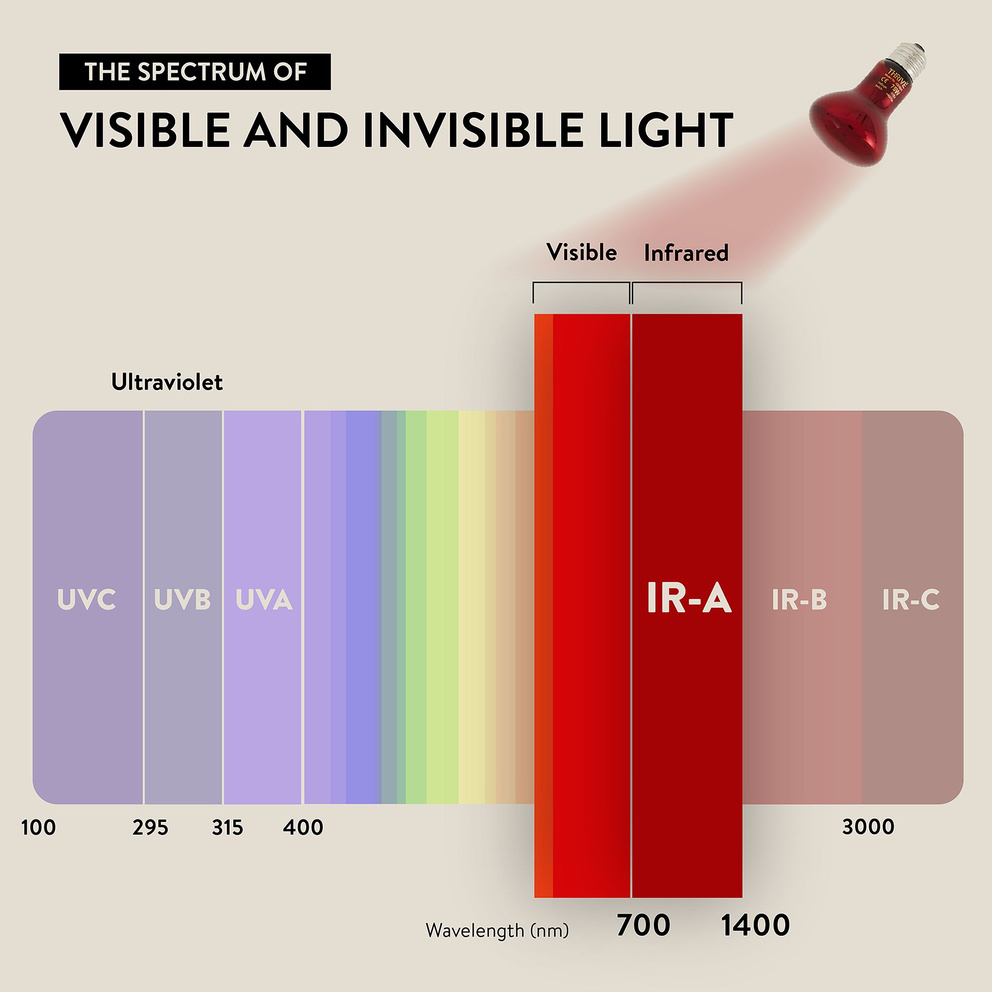 Thrive Nocturnal Infrared Spot Bulb - Infrared Heat Bulb - 50-150W - thumbnail 5