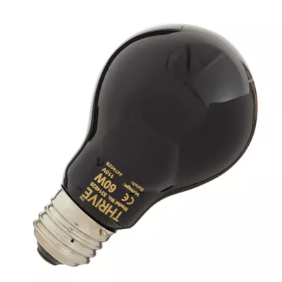 Product Thrive Reptile Nighttime Heat Bulb