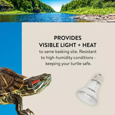 Product Thrive Splash Proof Basking Bulb