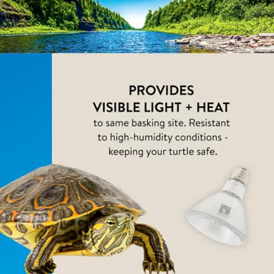 Product Thrive Splash Proof Basking Bulb